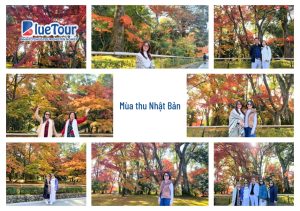 Khi Mùa Thu Nhật Bản Gõ Cửa: Trải Nghiệm Cổ Tích Tại Làng Shirakawago