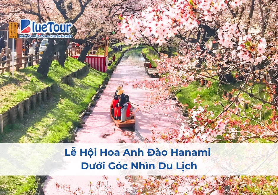 Lễ Hội Hoa Anh Đào Hanami Dưới Góc Nhìn Du Lịch
