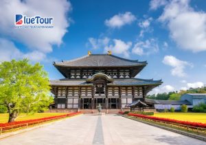 Phiêu Lưu Mùa Xuân Khi Ngắm Hoa Anh Đào Ở Công Viên Nara