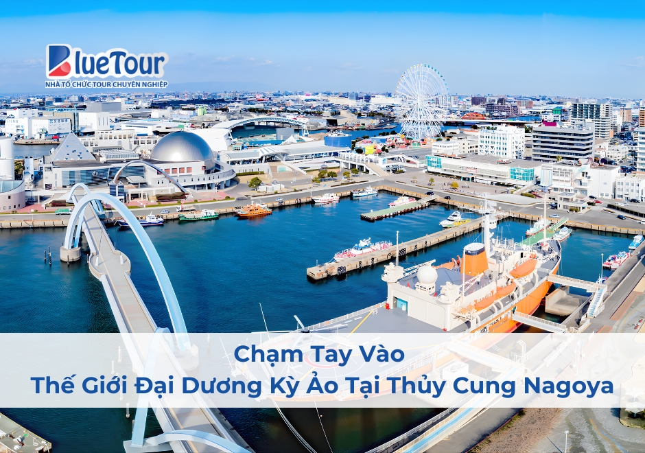 Chạm Tay Vào Thế Giới Đại Dương Kỳ Ảo Tại Thủy Cung Nagoya