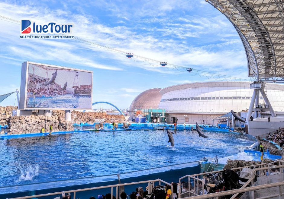 Chạm Tay Vào Thế Giới Đại Dương Kỳ Ảo Tại Thủy Cung Nagoya