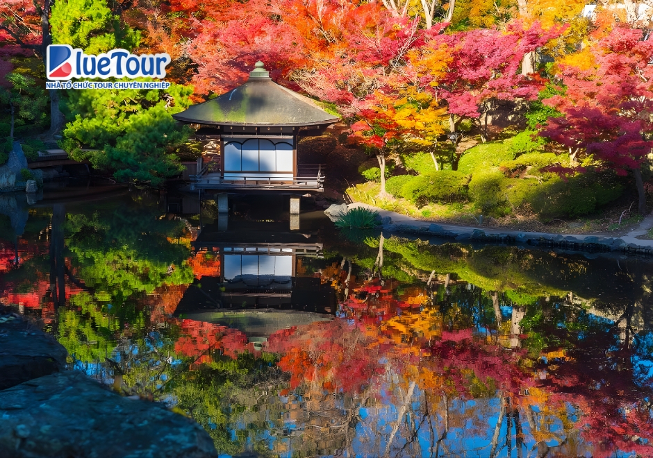 Dạo Bước Lâu Đài Nagoya, Săn Trọn Góc Check-in Đẹp Nhất