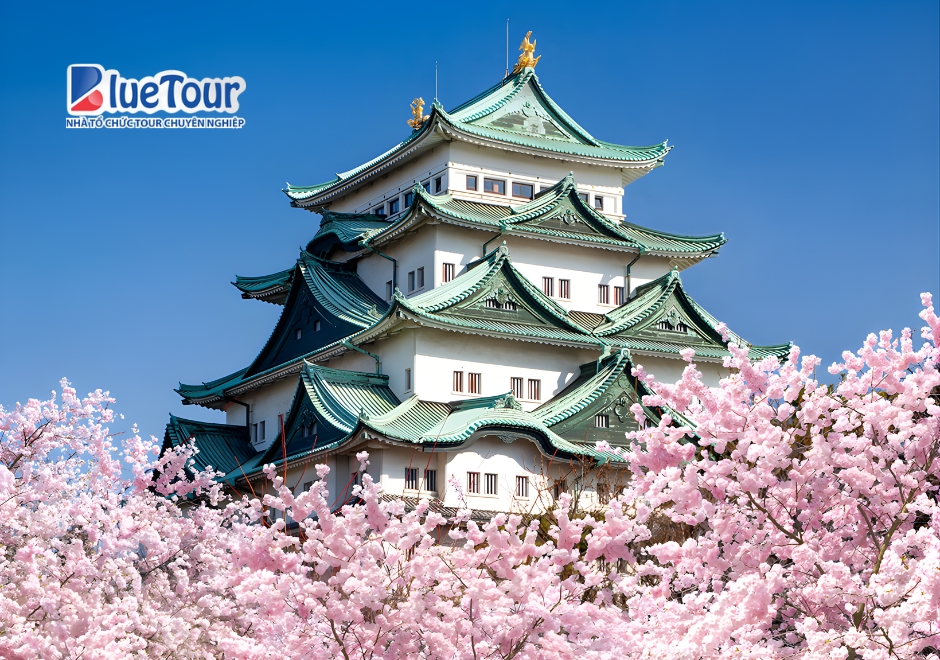 Dạo Bước Lâu Đài Nagoya, Săn Trọn Góc Check-in Đẹp Nhất