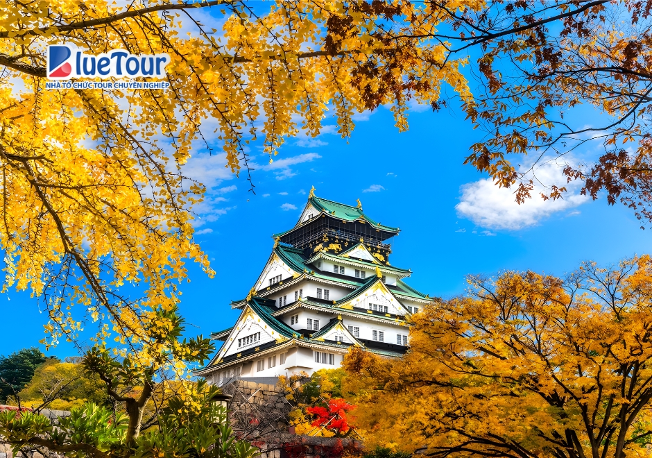 Dạo Bước Lâu Đài Nagoya, Săn Trọn Góc Check-in Đẹp Nhất