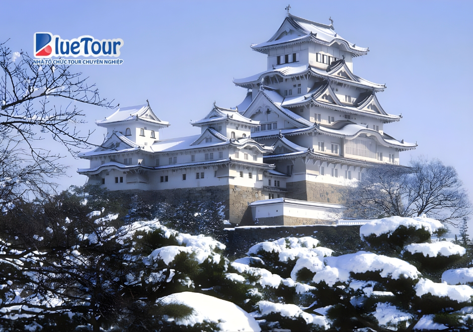 Dạo Bước Lâu Đài Nagoya, Săn Trọn Góc Check-in Đẹp Nhất