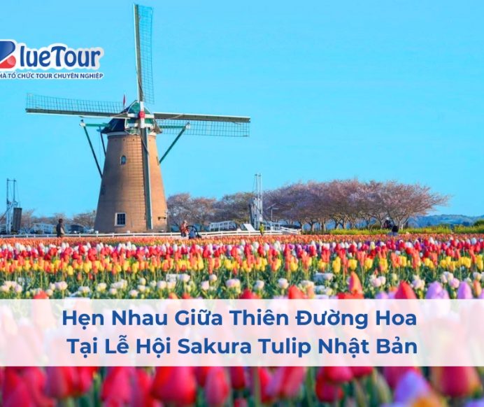 Hẹn Nhau Giữa Thiên Đường Hoa Tại Lễ Hội Sakura Tulip Nhật Bản