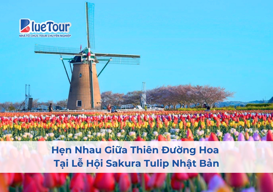 Hẹn Nhau Giữa Thiên Đường Hoa Tại Lễ Hội Sakura Tulip Nhật Bản
