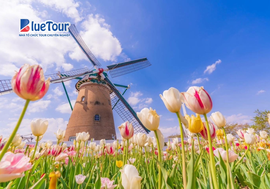 Hẹn Nhau Giữa Thiên Đường Hoa Tại Lễ Hội Sakura Tulip Nhật Bản