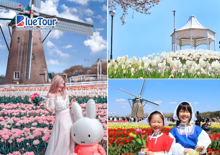 Hẹn Nhau Giữa Thiên Đường Hoa Tại Lễ Hội Sakura Tulip Nhật Bản