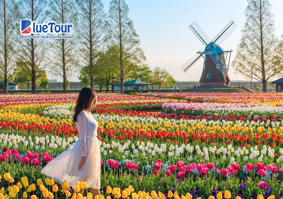 Hẹn Nhau Giữa Thiên Đường Hoa Tại Lễ Hội Sakura Tulip Nhật Bản