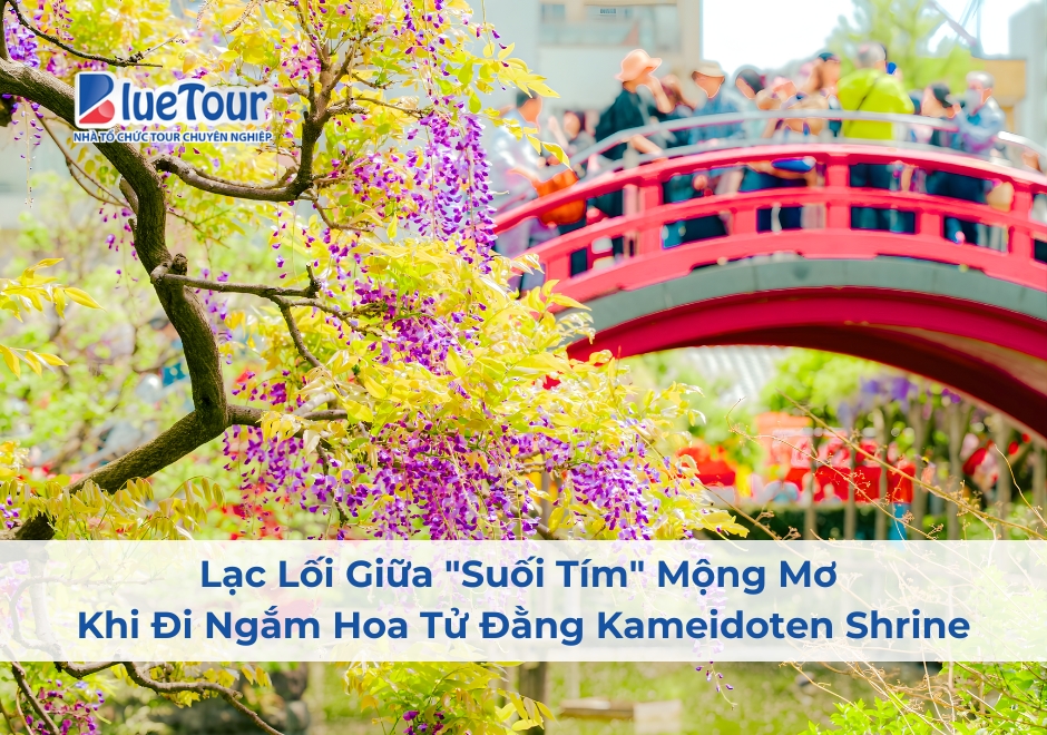 Lạc Lối Giữa "Suối Tím" Mộng Mơ Khi Đi Ngắm Hoa Tử Đằng Kameidoten Shrine