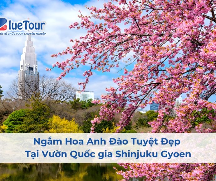 Ngắm Hoa Anh Đào Tuyệt Đẹp Tại Vườn Quốc gia Shinjuku Gyoen