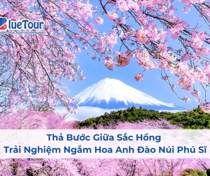 Thả Bước Giữa Sắc Hồng – Trải Nghiệm Ngắm Hoa Anh Đào Núi Phú Sĩ