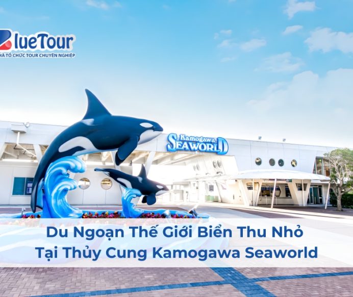 Du Ngoạn Thế Giới Biển Thu Nhỏ Tại Thủy Cung Kamogawa Seaworld