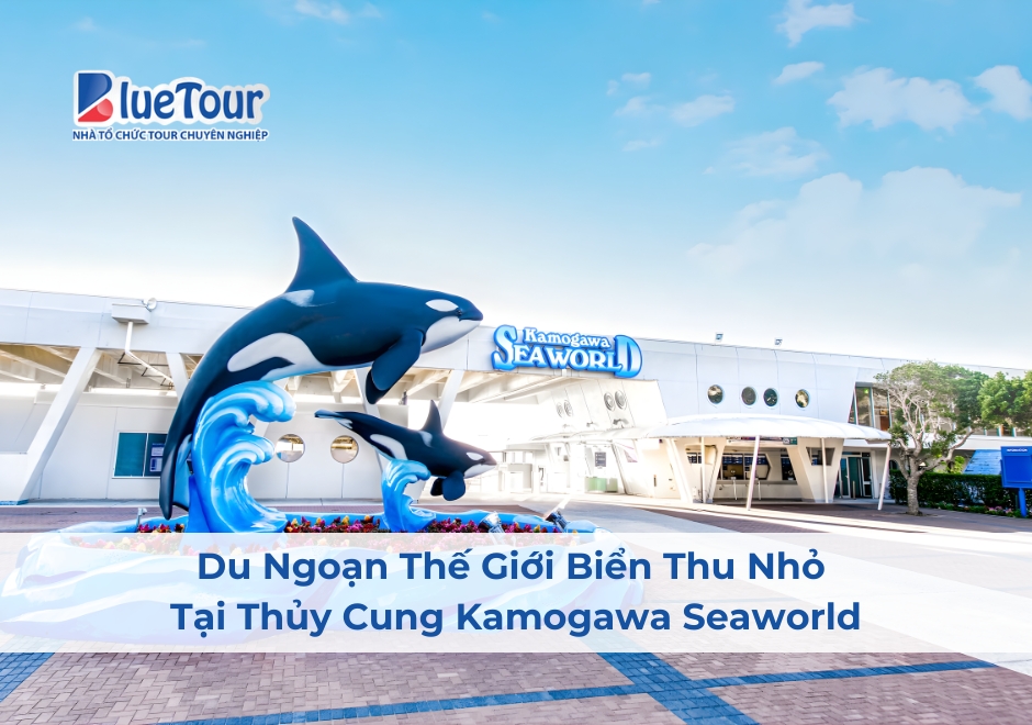 Du Ngoạn Thế Giới Biển Thu Nhỏ Tại Thủy Cung Kamogawa Seaworld