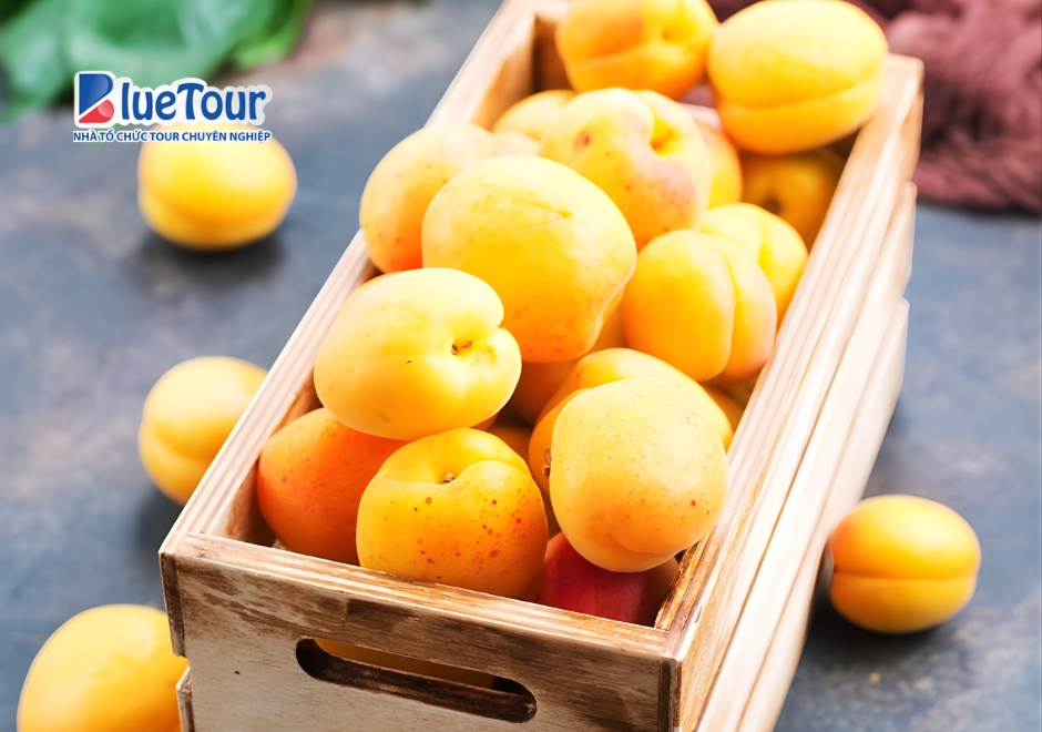 Du Xuân Xứ Phù Tang Cùng Ẩm Thực Mùa Xuân Nhật Bản