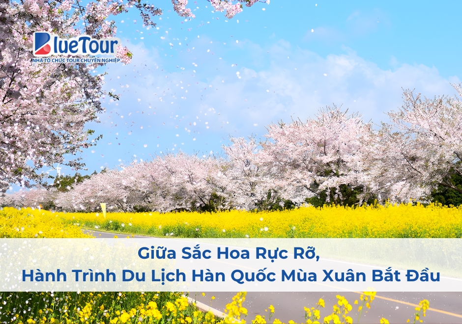 Giữa Sắc Hoa Rực Rỡ, Hành Trình Du Lịch Hàn Quốc Mùa Xuân Bắt Đầu