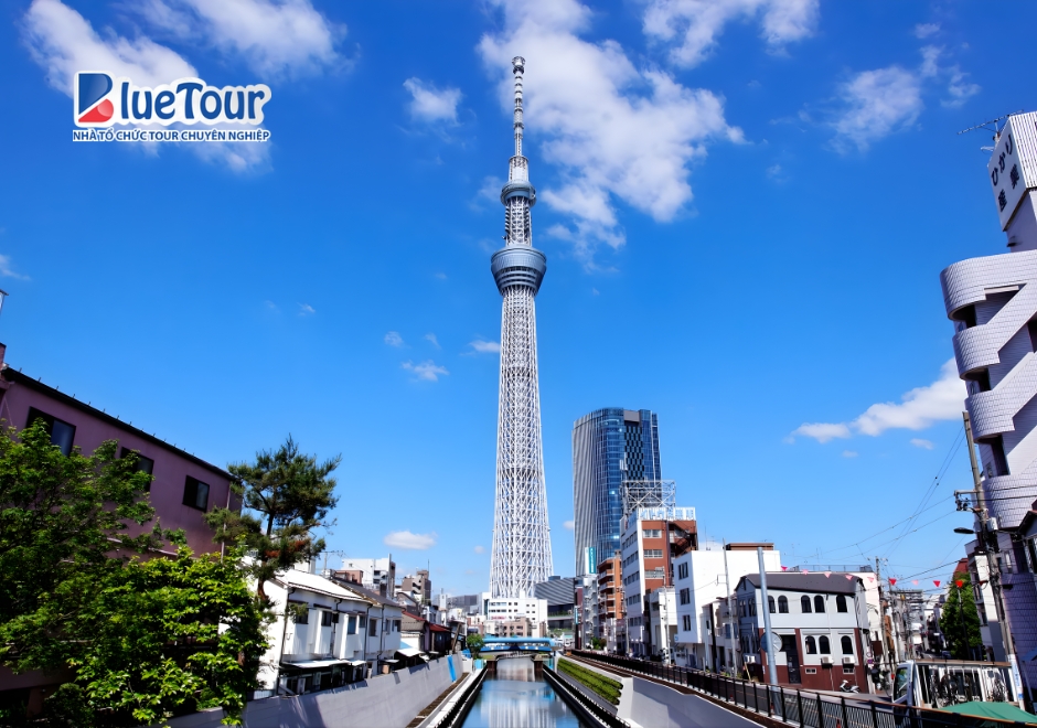 Một Mùa Nắng Đáng Nhớ Cùnag Du Lịch Tokyo Mùa Hè