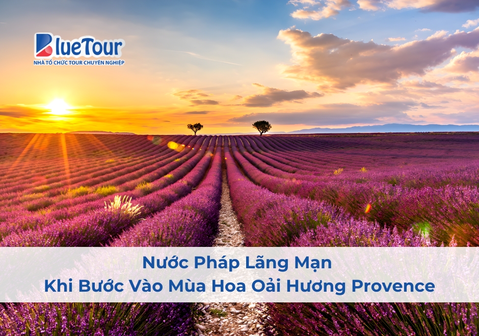 Nước Pháp Lãng Mạn Khi Bước Vào Mùa Hoa Oải Hương Provence