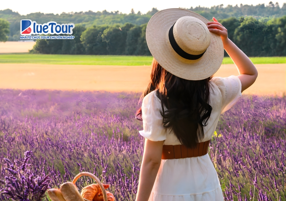 Nước Pháp Lãng Mạn Khi Bước Vào Mùa Hoa Oải Hương Provence