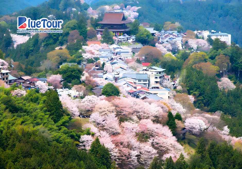 Top 7 Ngôi Làng Cổ Nhật Bản Đẹp Nhất Cho Chuyến Đi 2026