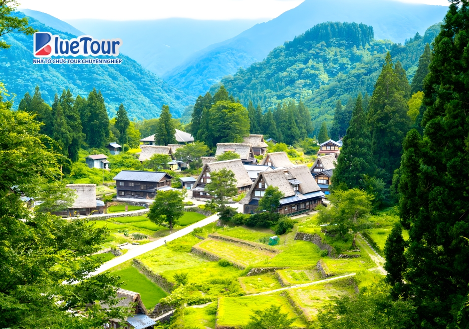 Top 7 Ngôi Làng Cổ Nhật Bản Đẹp Nhất Cho Chuyến Đi 2026