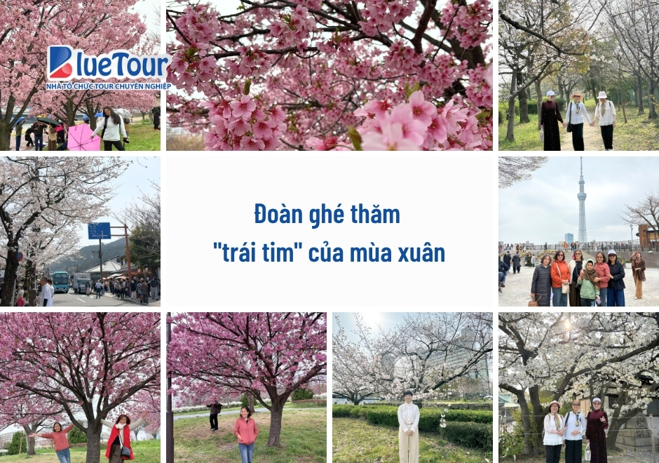 "Chạm