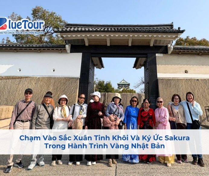 Chạm Vào Sắc Xuân Tinh Khôi Và Ký Ức Sakura Trong Hành Trình Vàng Nhật Bản