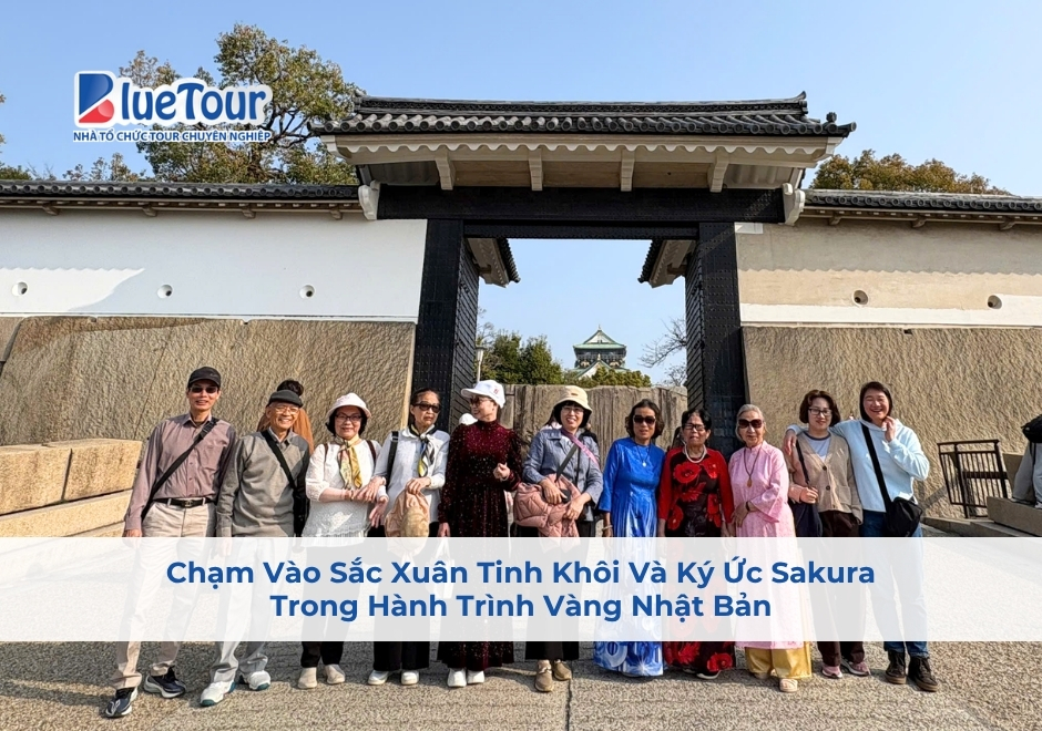 Chạm Vào Sắc Xuân Tinh Khôi Và Ký Ức Sakura Trong Hành Trình Vàng Nhật Bản