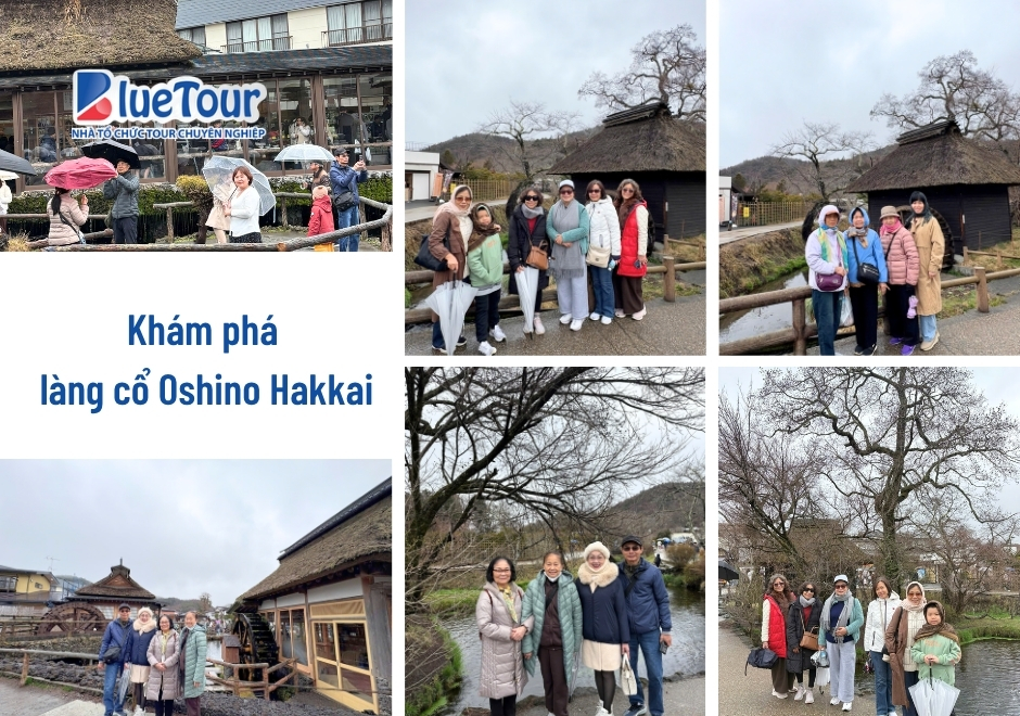 Chạm Vào Sắc Xuân Tinh Khôi Và Ký Ức Sakura Trong Hành Trình Vàng Nhật Bản