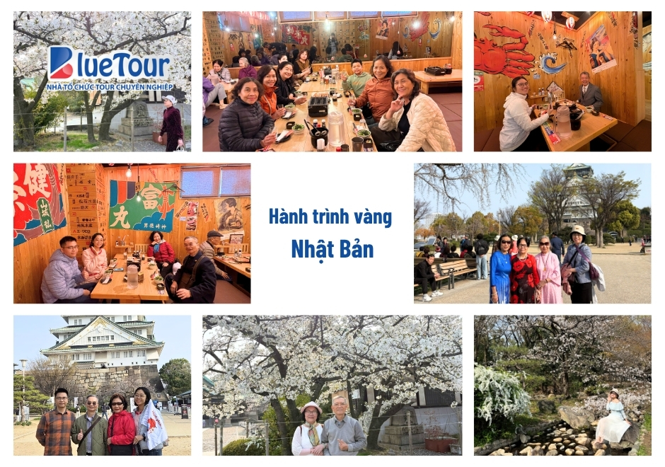 Chạm Vào Sắc Xuân Tinh Khôi Và Ký Ức Sakura Trong Hành Trình Vàng Nhật Bản