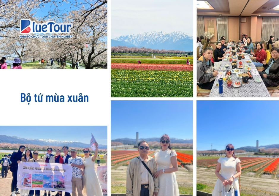 Cung Đường Romantic Nhật Bản 2026: Bản Giao Hưởng Mùa Xuân Viết Riêng Cho Những Kẻ Mộng Mơ