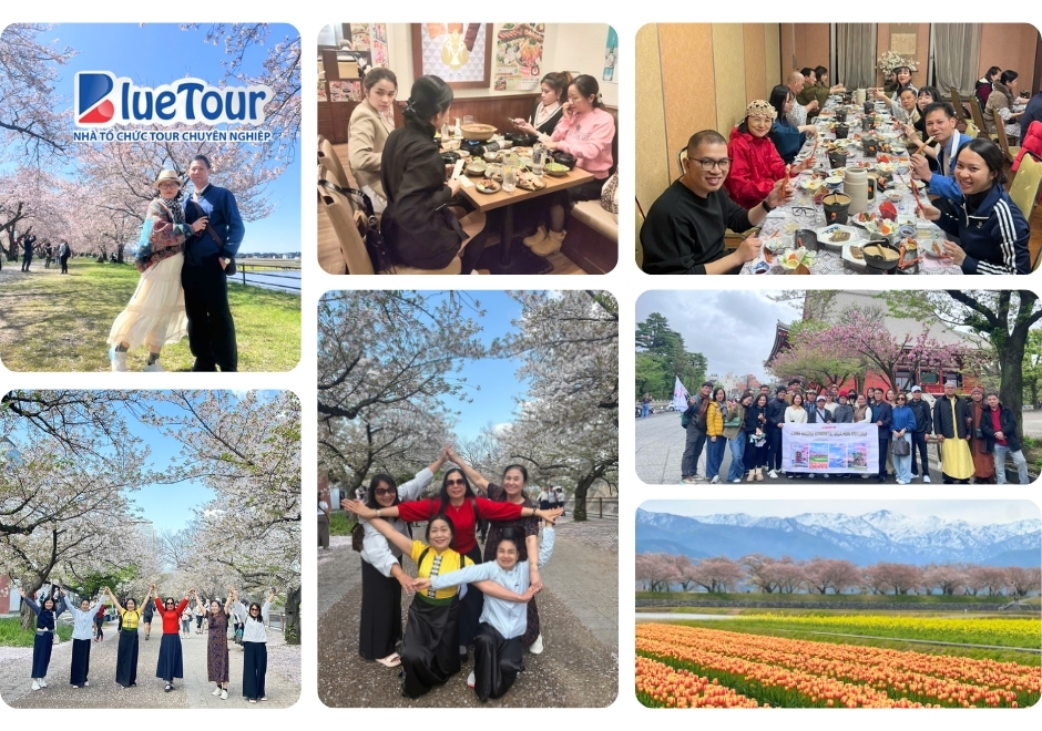 Cung Đường Romantic Nhật Bản 2026: Bản Giao Hưởng Mùa Xuân Viết Riêng Cho Những Kẻ Mộng Mơ