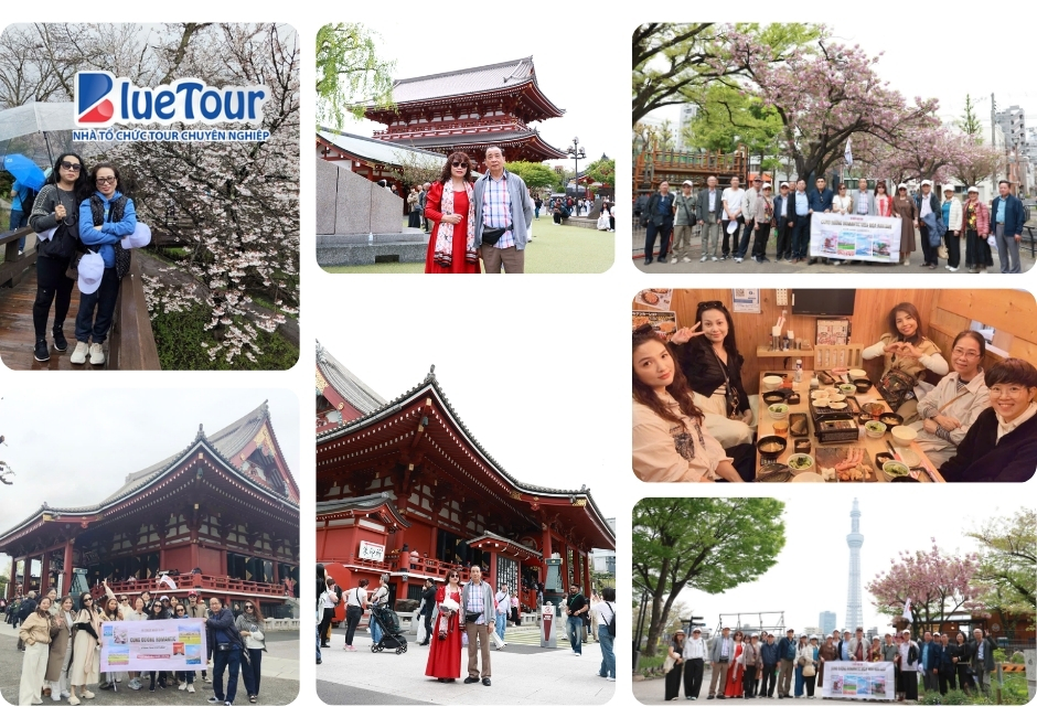 Cung Đường Romantic Nhật Bản 2026: Bản Giao Hưởng Mùa Xuân Viết Riêng Cho Những Kẻ Mộng Mơ