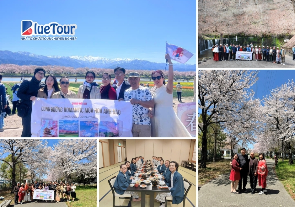 Cung Đường Romantic Nhật Bản 2026: Bản Giao Hưởng Mùa Xuân Viết Riêng Cho Những Kẻ Mộng Mơ