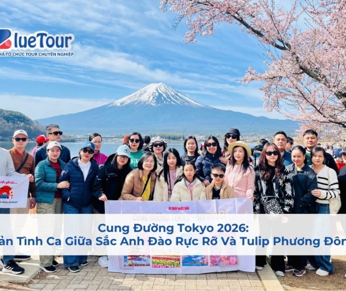 Cung Đường Tokyo 2026: Bản Tình Ca Giữa Sắc Anh Đào Rực Rỡ Và Tulip Phương Đông