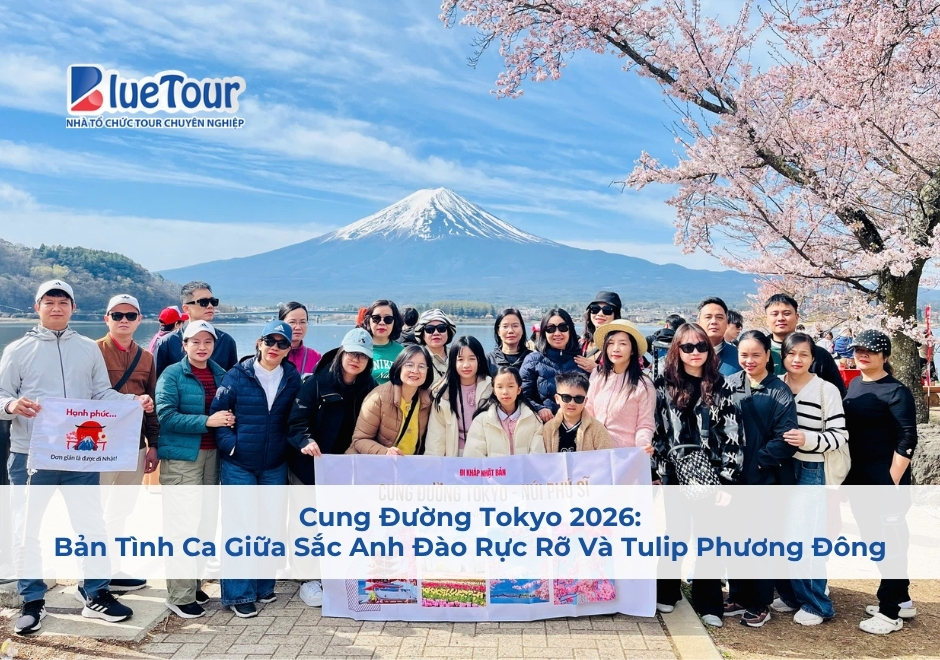 Cung Đường Tokyo 2026: Bản Tình Ca Giữa Sắc Anh Đào Rực Rỡ Và Tulip Phương Đông
