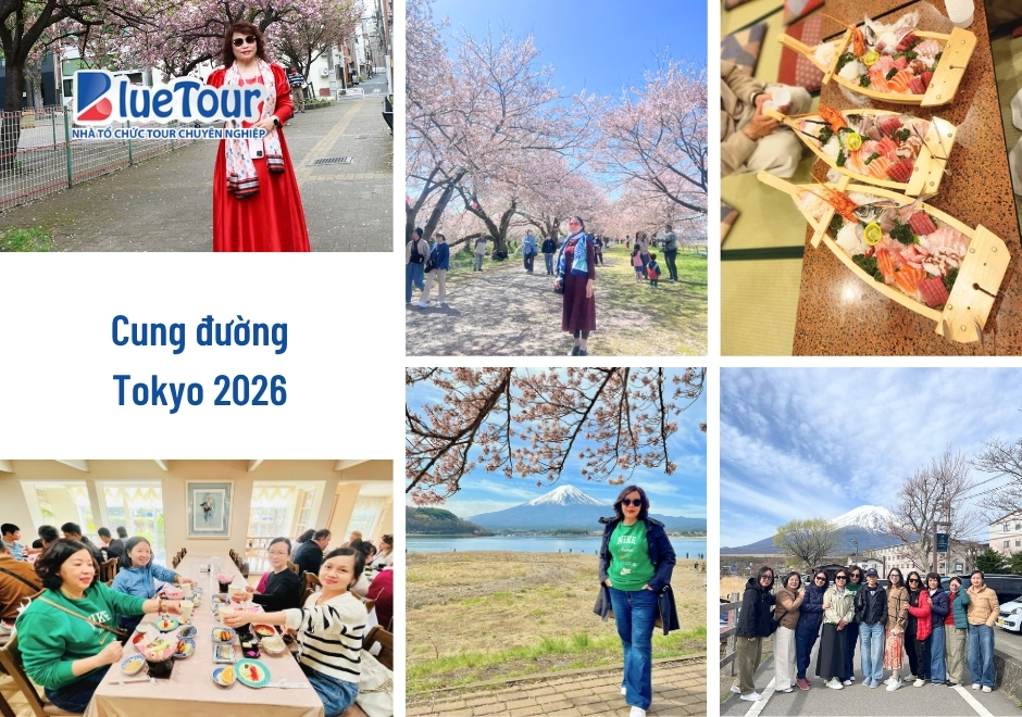 Cung Đường Tokyo 2026: Bản Tình Ca Giữa Sắc Anh Đào Rực Rỡ Và Tulip Phương Đông