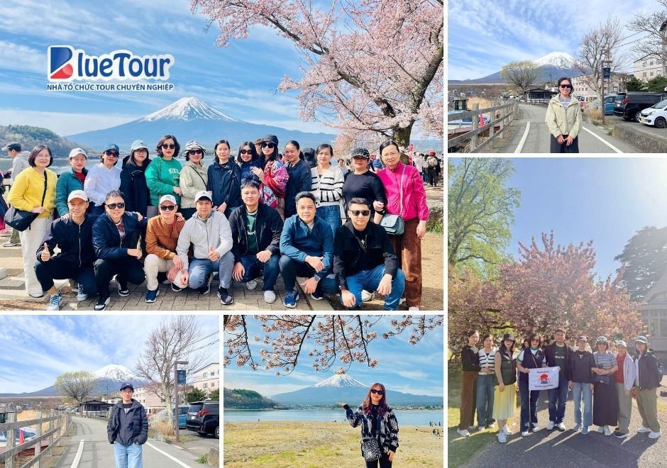 Cung Đường Tokyo 2026: Bản Tình Ca Giữa Sắc Anh Đào Rực Rỡ Và Tulip Phương Đông