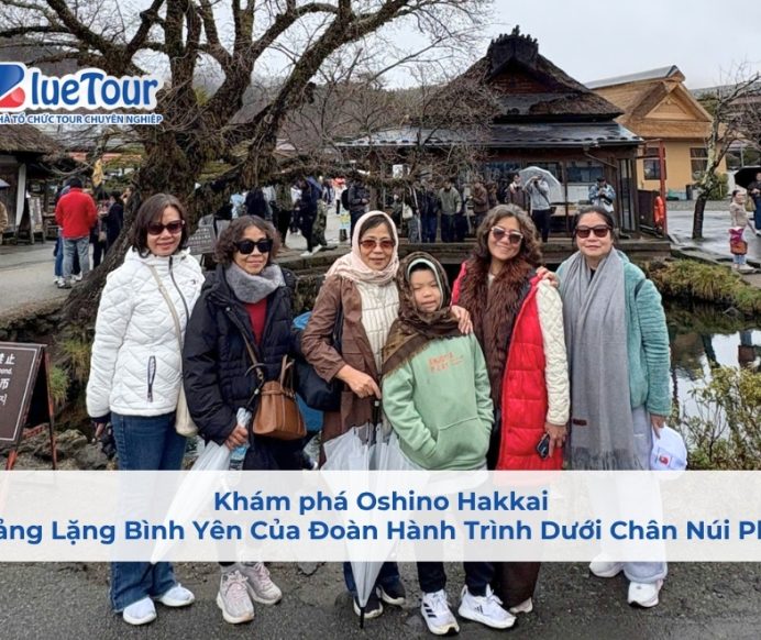 Khám phá Oshino Hakkai: Khoảng Lặng Bình Yên Của Đoàn Hành Trình Dưới Chân Núi Phú Sĩ