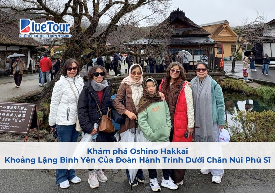 Khám phá Oshino Hakkai: Khoảng Lặng Bình Yên Của Đoàn Hành Trình Dưới Chân Núi Phú Sĩ