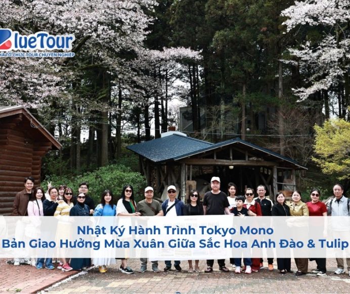 Nhật Ký Hành Trình Tokyo Mono: Bản Giao Hưởng Mùa Xuân Giữa Sắc Hoa Anh Đào & Tulip