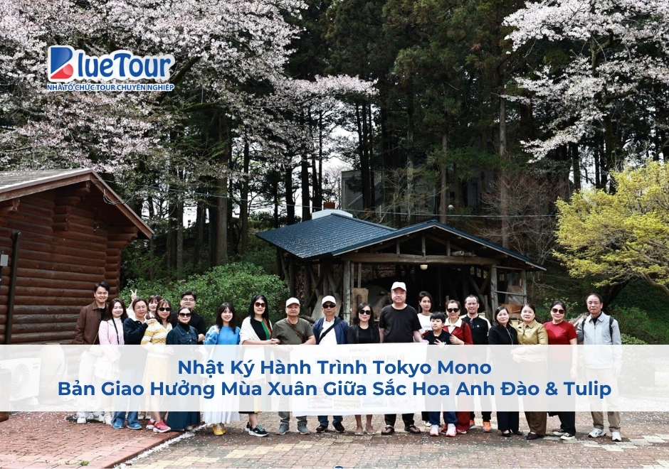 Nhật Ký Hành Trình Tokyo Mono: Bản Giao Hưởng Mùa Xuân Giữa Sắc Hoa Anh Đào & Tulip