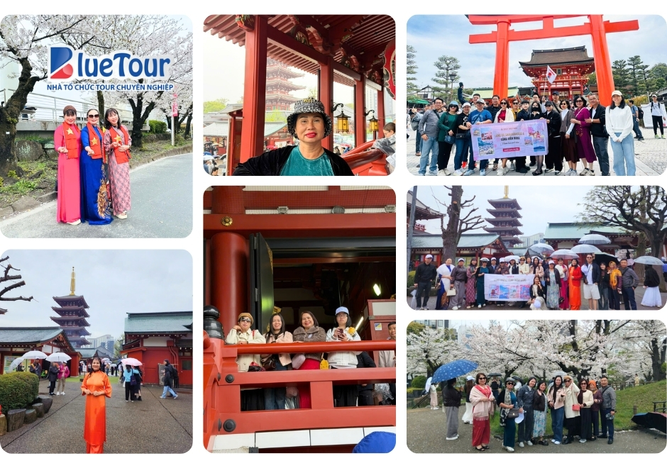 Nhật Ký Hành Trình Tokyo Mono: Bản Giao Hưởng Mùa Xuân Giữa Sắc Hoa Anh Đào & Tulip