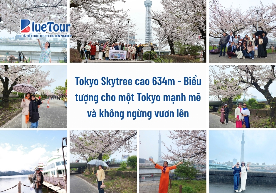 Nhật Ký Hành Trình Tokyo Mono: Bản Giao Hưởng Mùa Xuân Giữa Sắc Hoa Anh Đào & Tulip