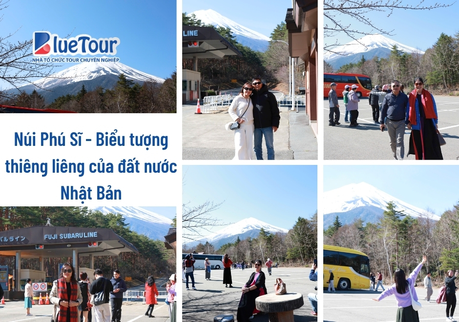 Nhật Ký Hành Trình Tokyo Mono: Bản Giao Hưởng Mùa Xuân Giữa Sắc Hoa Anh Đào & Tulip