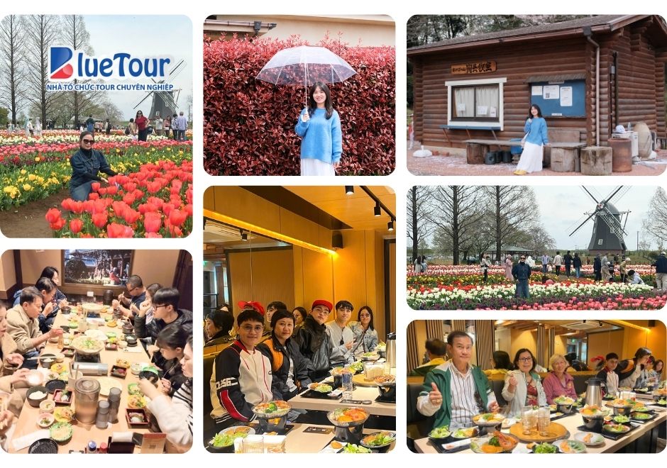 Nhật Ký Hành Trình Tokyo Mono: Bản Giao Hưởng Mùa Xuân Giữa Sắc Hoa Anh Đào & Tulip