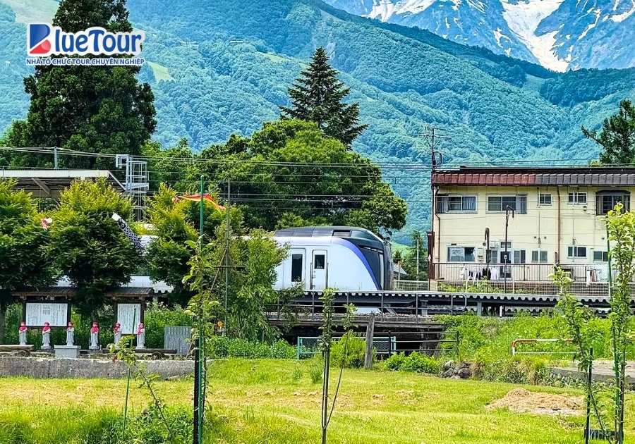 CUNG ĐƯỜNG ROMANTIC MÙA HÈ 2026