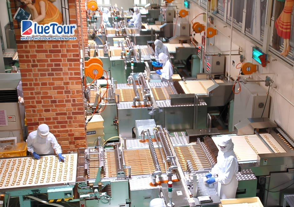 Gói Ghém Hương Mây Vào Thiên Đường Ngọt Ngào Trên Đảo Hokkaido