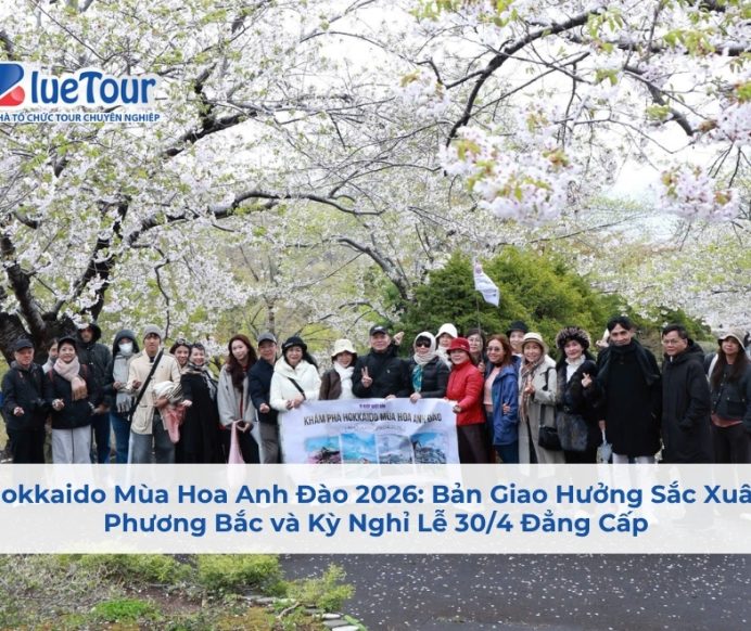 Hokkaido Mùa Hoa Anh Đào 2026: Bản Giao Hưởng Sắc Xuân Phương Bắc và Kỳ Nghỉ Lễ 30/4 Đẳng Cấp